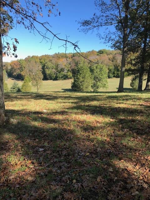 1350 Redbud Ln, Columbia, TN 38401