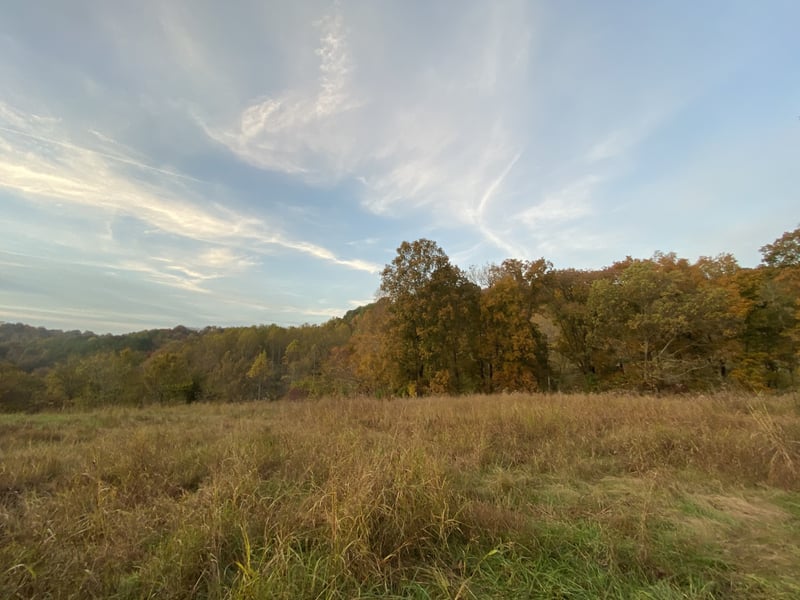 377 Red Tuttle Rd, Bethpage, TN 37022
