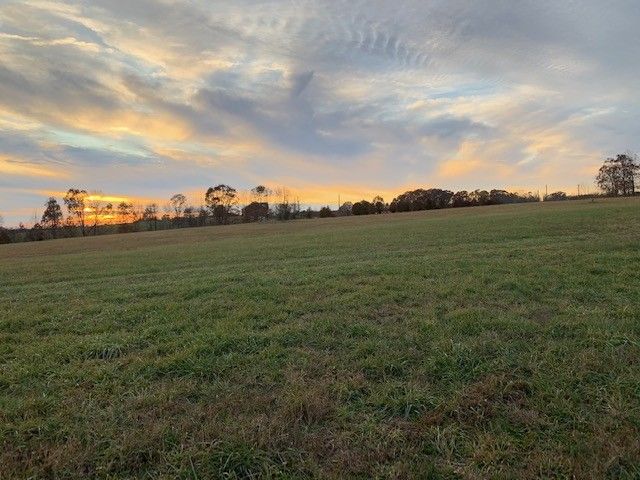3 W Lick Creek Rd, Primm Springs, TN 38476