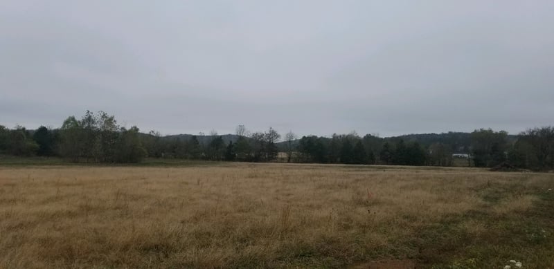 4 W Trimble Rd, Milton, TN 37118