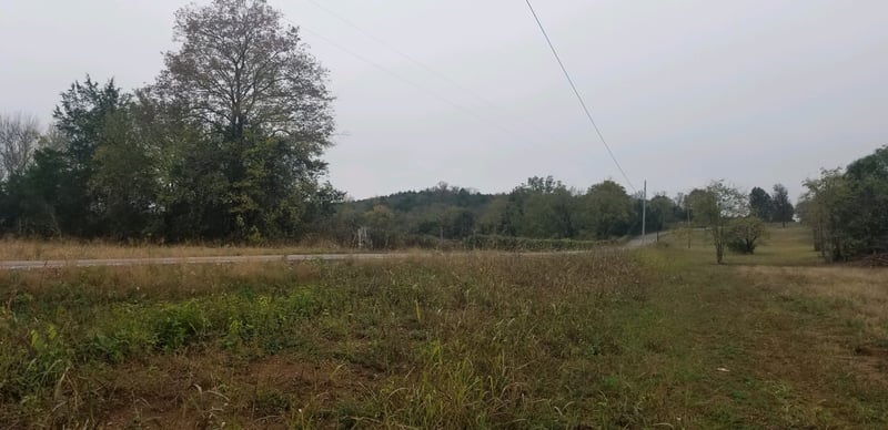 4 W Trimble Rd, Milton, TN 37118