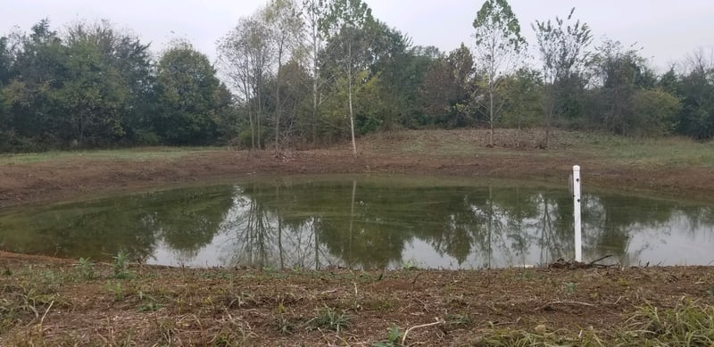 4 W Trimble Rd, Milton, TN 37118