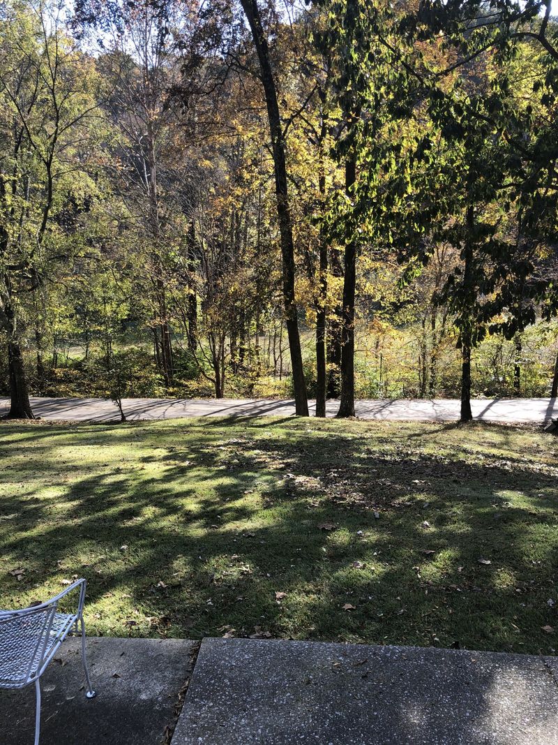 3550 Bear Hollow Rd, Whites Creek, TN 37189