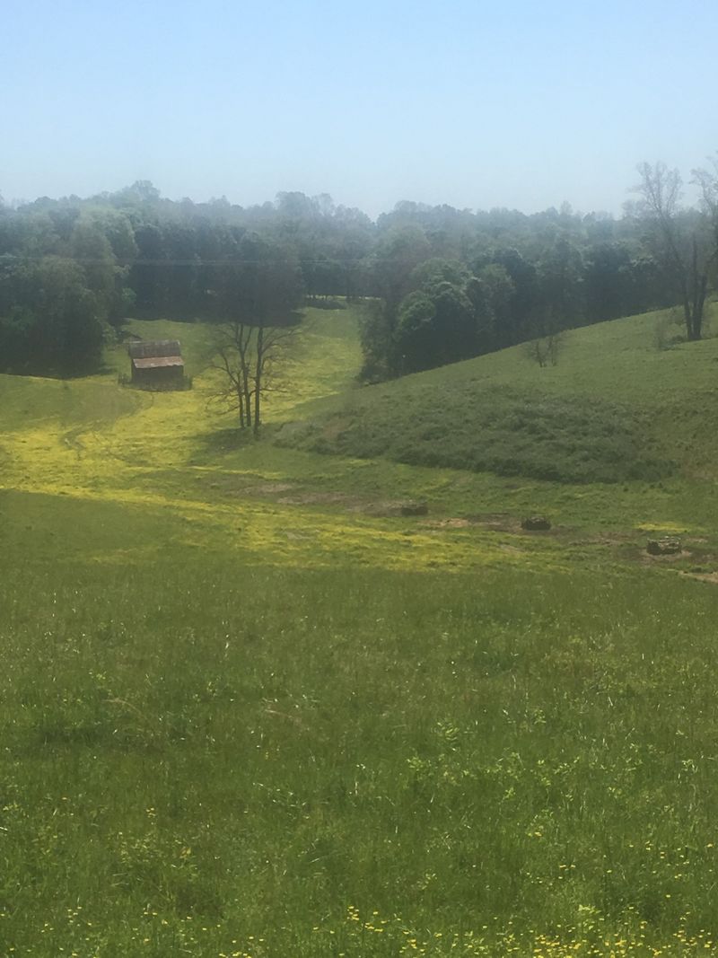 1140 Jim Read Rd, Ashland City, TN 37015