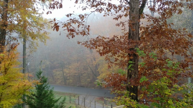 7456 Sleepy Hollow Rd, Fairview, TN 37062
