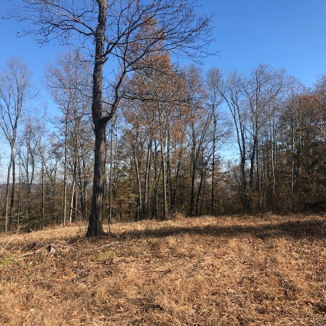 0 Booker Ridge Rd, Mount Pleasant, TN 38474
