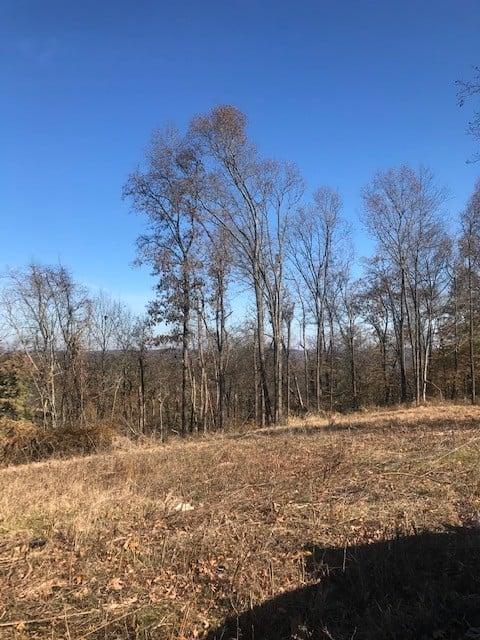 0 Booker Ridge Rd, Mount Pleasant, TN 38474