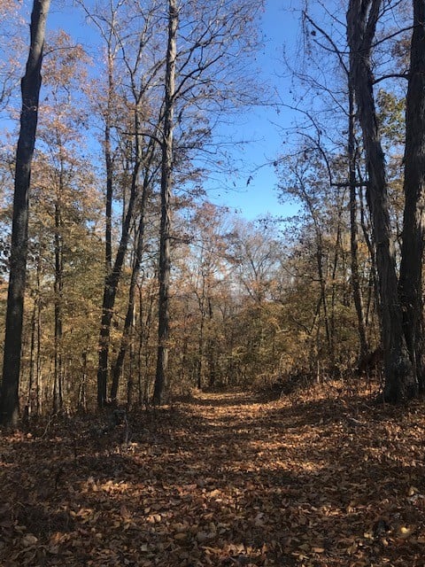 0 Booker Ridge Rd, Mount Pleasant, TN 38474