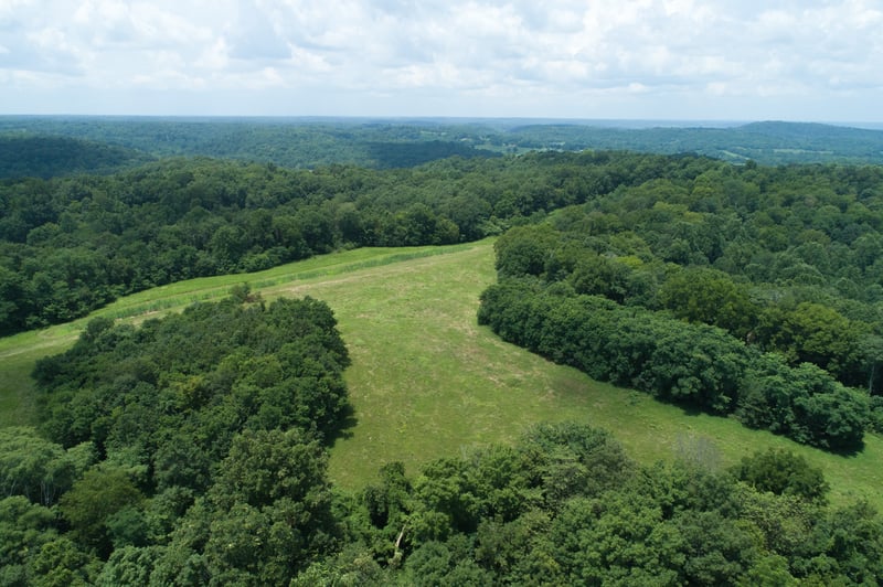 0 Terrapin Branch Rd, Mount Pleasant, TN 38474