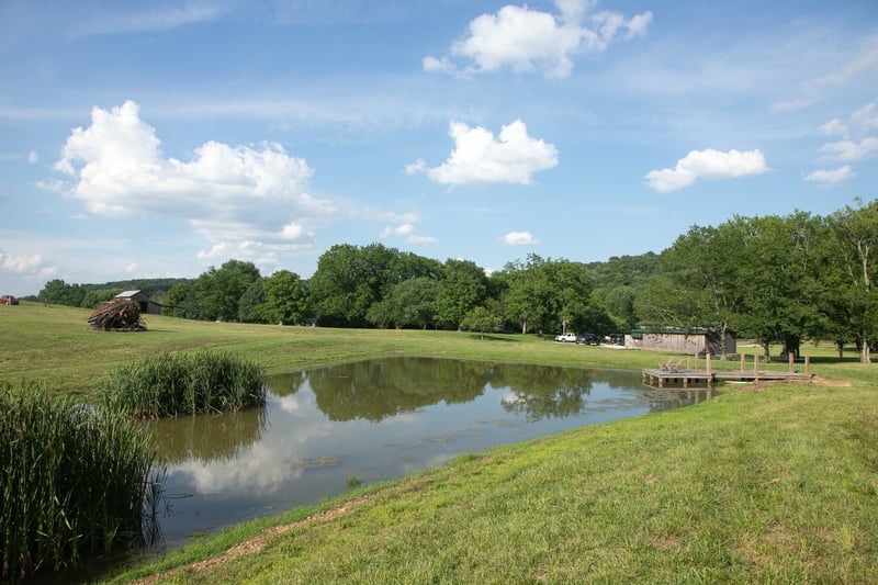 0 Terrapin Branch Rd, Mount Pleasant, TN 38474