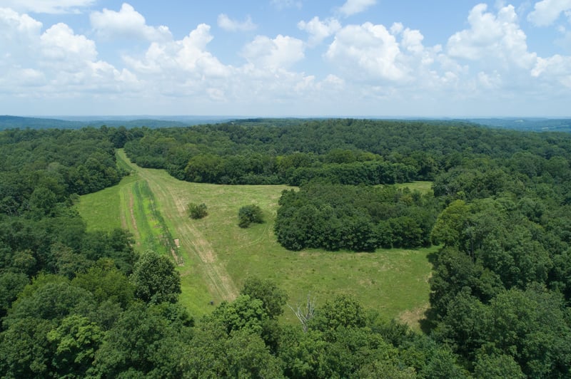 0 Terrapin Branch Rd, Mount Pleasant, TN 38474
