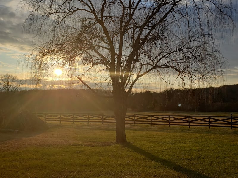 12095 Halls Hill Pike, Milton, TN 37118
