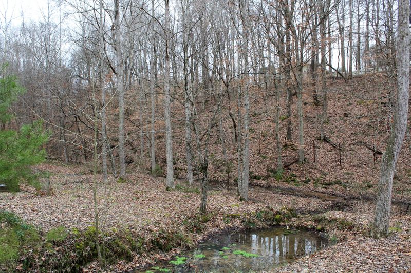 0 Brown Ln, White Bluff, TN 37187
