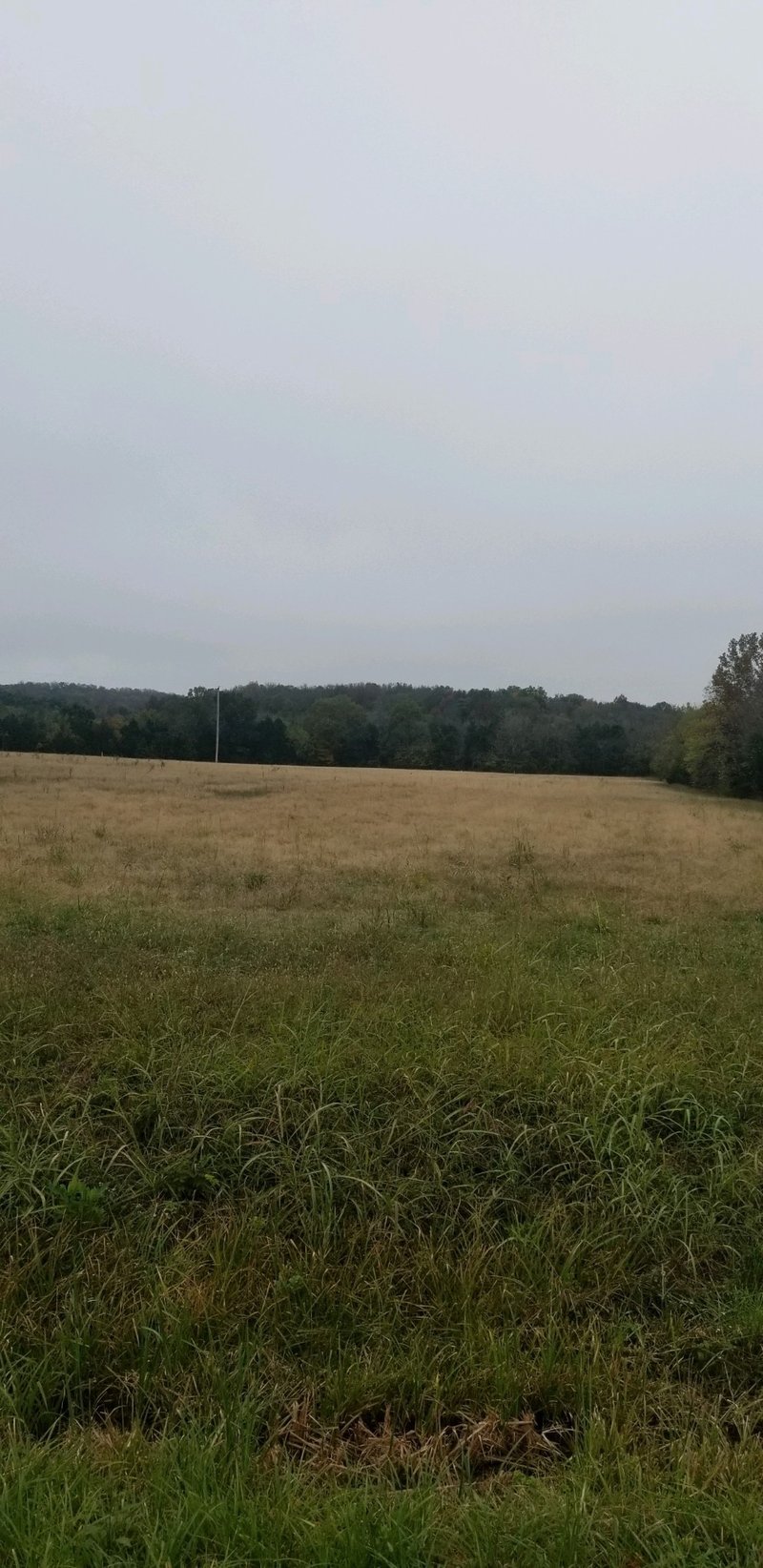1 W Trimble Rd, Milton, TN 37118
