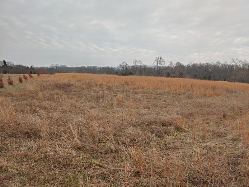 0 Joe Mac Lipscomb Rd, Springfield, TN 37172