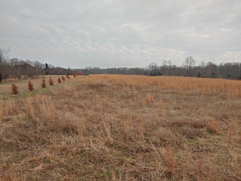 0 Joe Mac Lipscomb Rd, Springfield, TN 37172