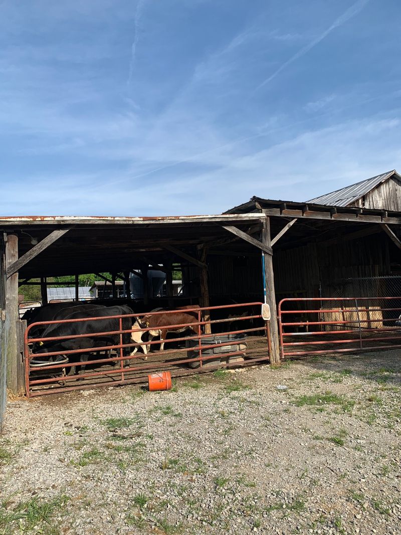 4451 N Chapel Rd, Franklin, TN 37067