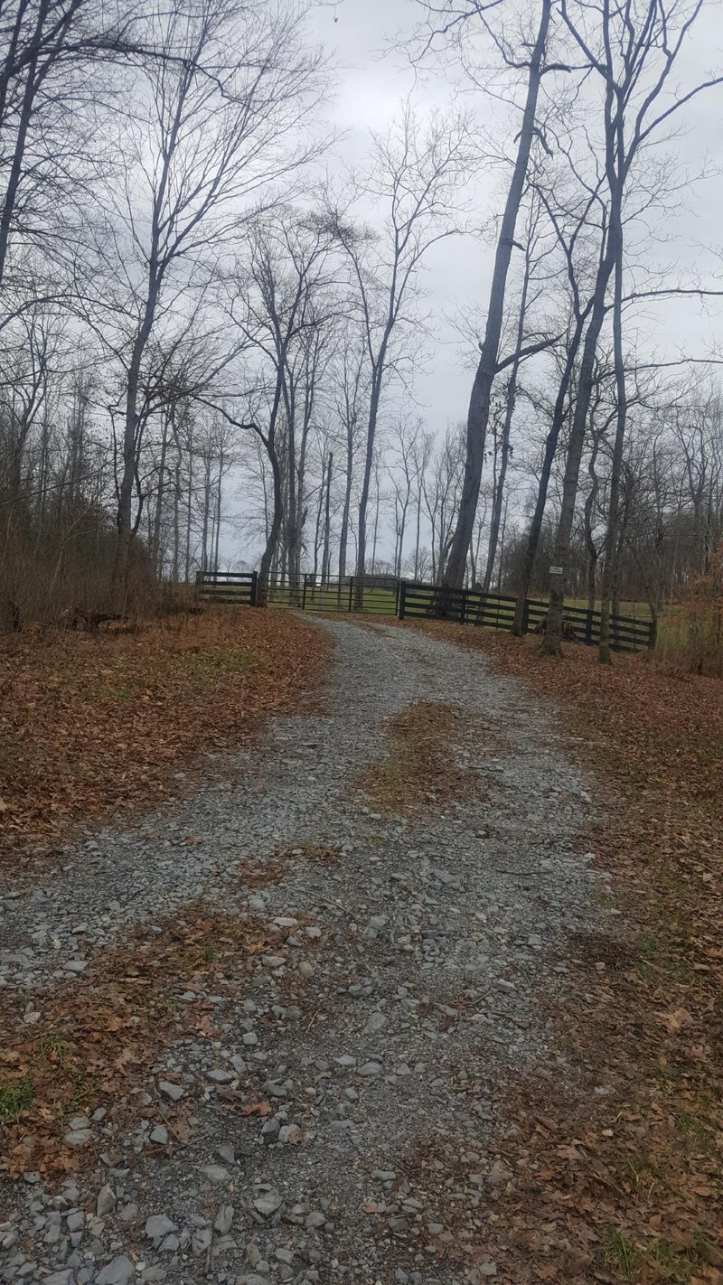 6595 Owen Hill Rd, College Grove, TN 37046