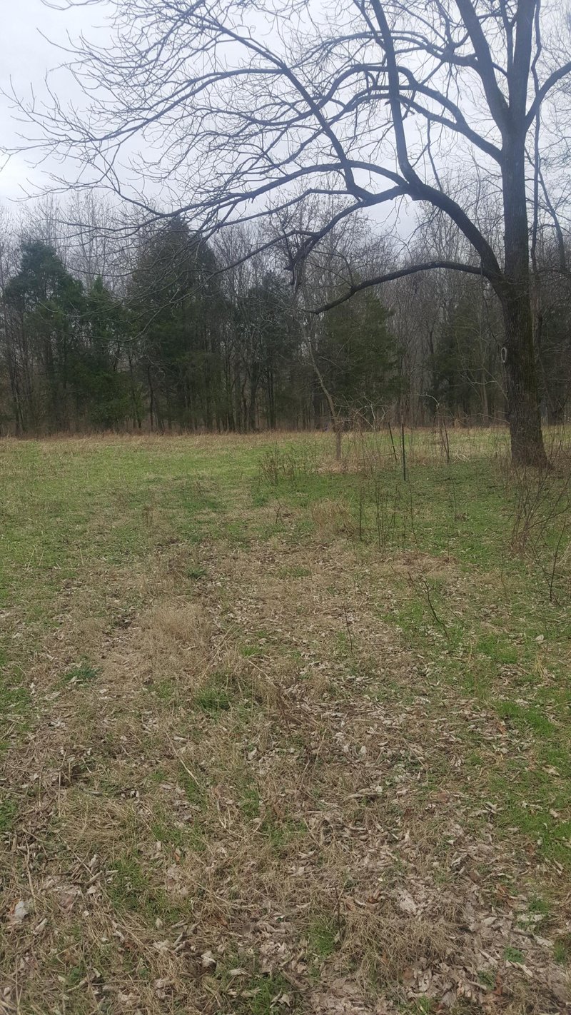 6595 Owen Hill Rd, College Grove, TN 37046