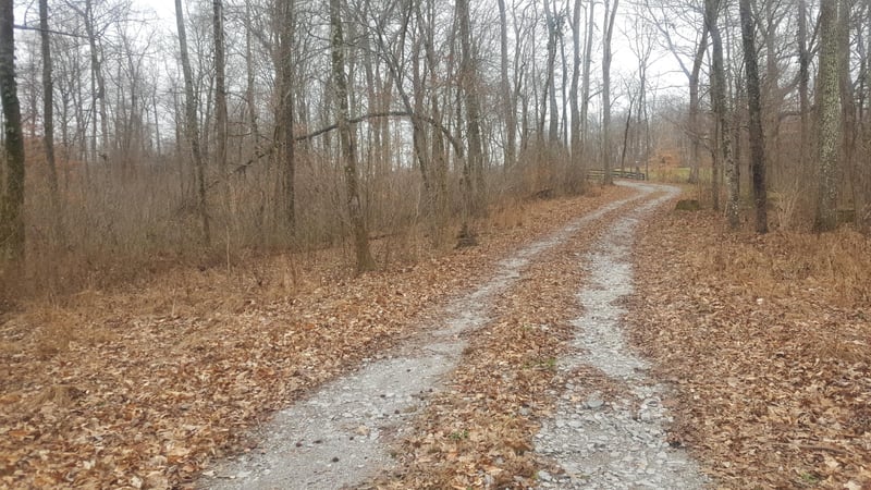 6595 Owen Hill Rd, College Grove, TN 37046