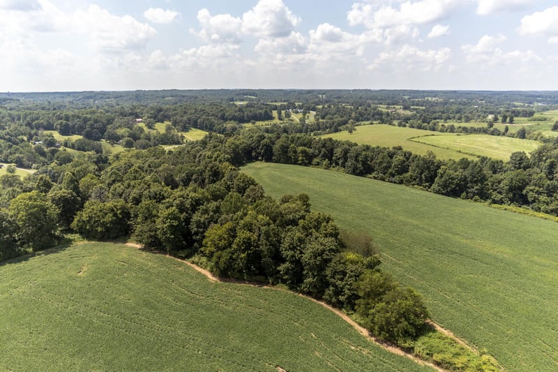 3603 Hwy 52e, Bethpage, TN 37022