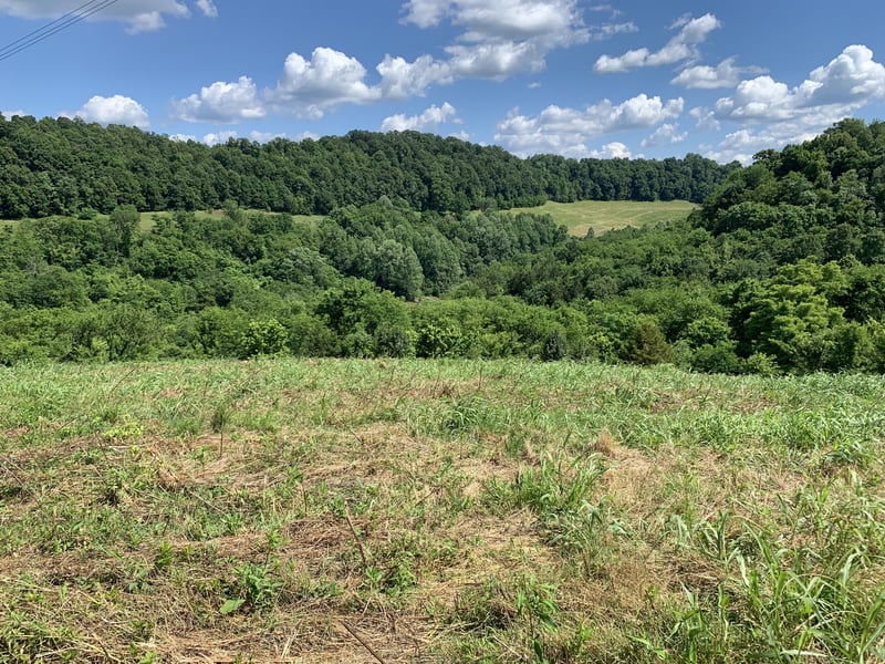 0 Hackett Valley Rd, Hickman, TN 38567