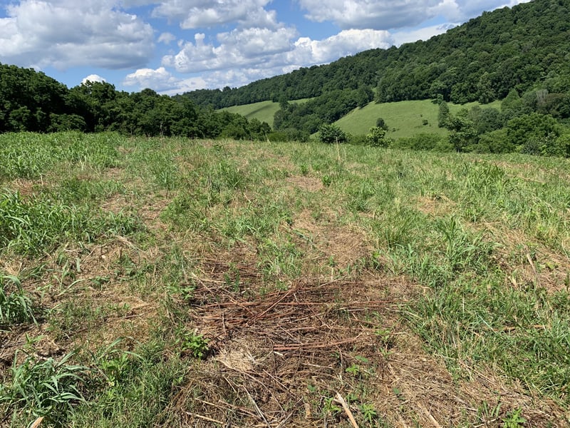 0 Hackett Valley Rd, Hickman, TN 38567