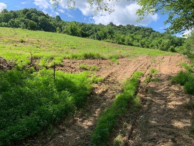 0 Hackett Valley Rd, Hickman, TN 38567