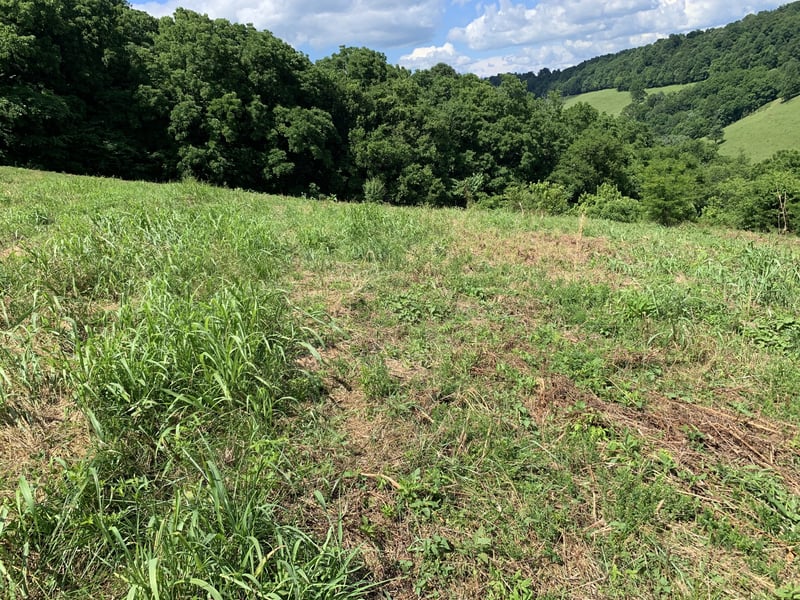 0 Hackett Valley Rd, Hickman, TN 38567