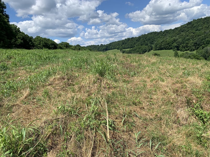 0 Hackett Valley Rd, Hickman, TN 38567