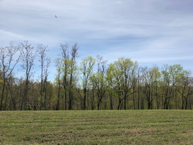 0 Jones Valley Rd, Williamsport, TN 38487