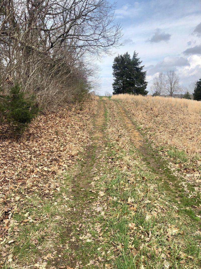 0 Nels Adams Rd, Dickson, TN 37055