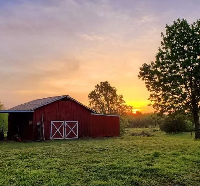 3369 Burgess Gower Rd, Cedar Hill, TN 37032