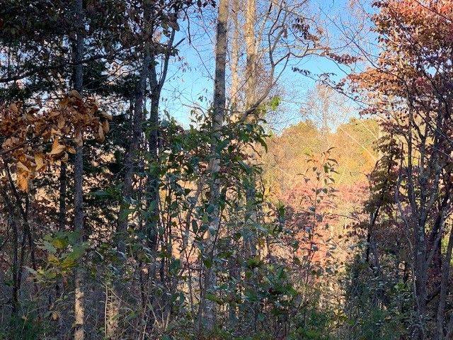 0 Algie Sewell Rd, Columbia, TN 38401