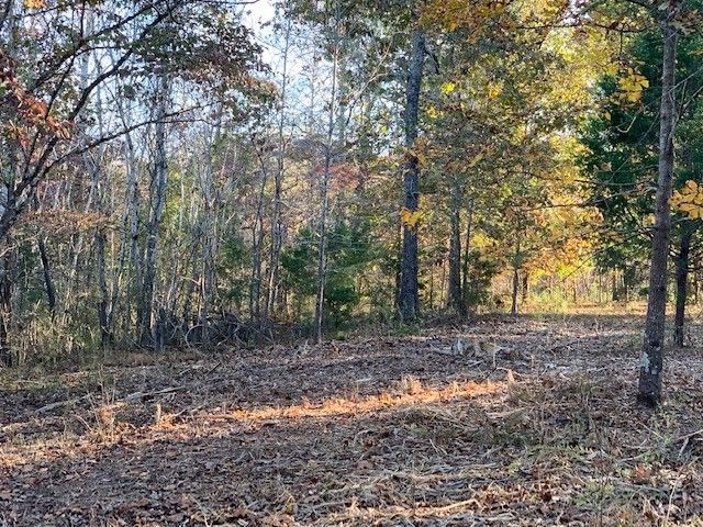 0 Algie Sewell Rd, Columbia, TN 38401