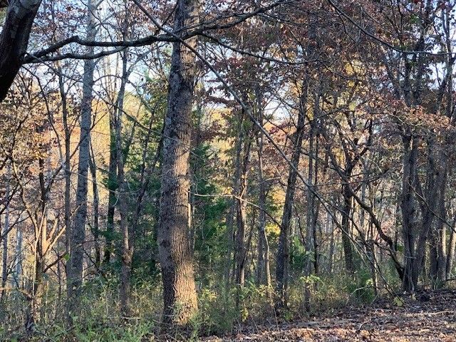 0 Algie Sewell Rd, Columbia, TN 38401