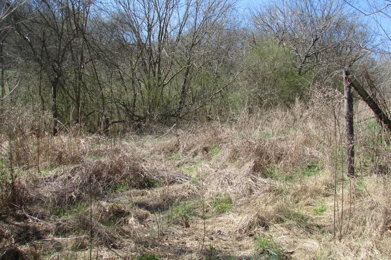 0 Gaskill Branch Rd, Santa Fe, TN 38482