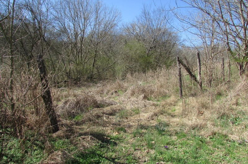 0 Gaskill Branch Rd, Santa Fe, TN 38482