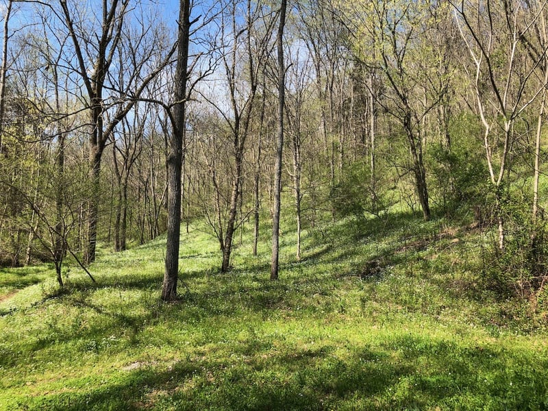 153 Big Creek Rd, Pleasant Shade, TN 37145