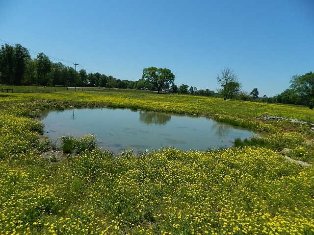 3100 Highway 431, Spring Hill, TN 37174