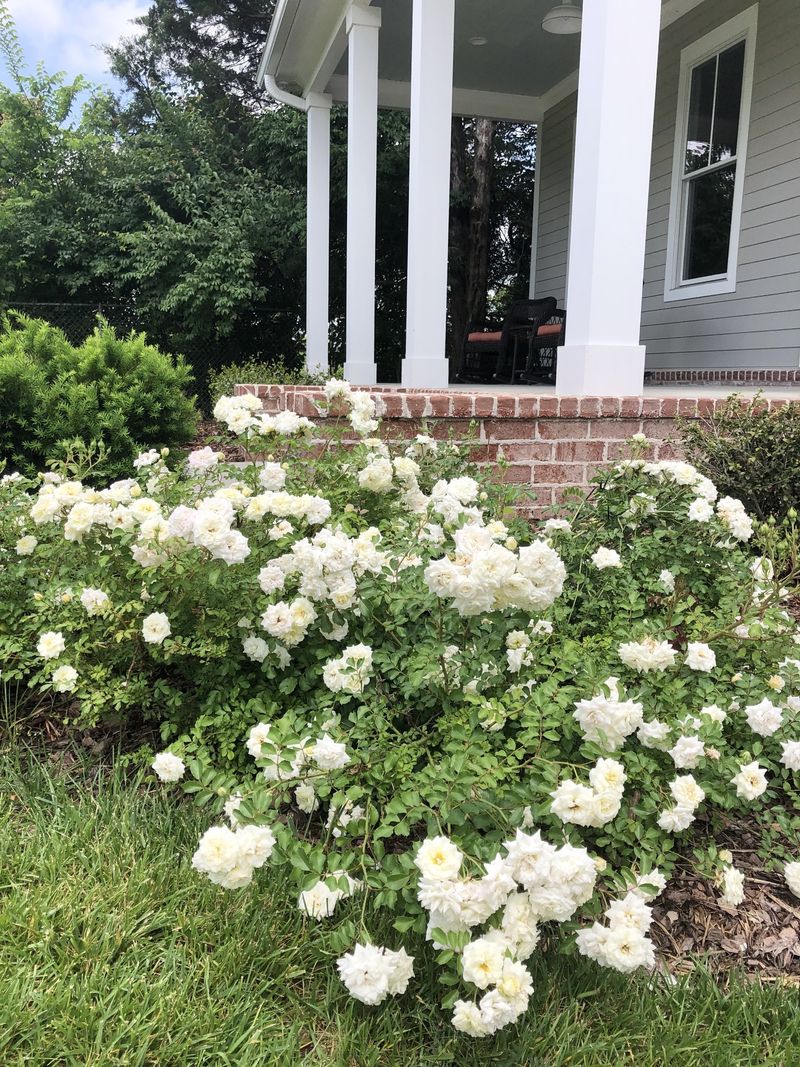 399 Eddy Ln, Franklin, TN 37064