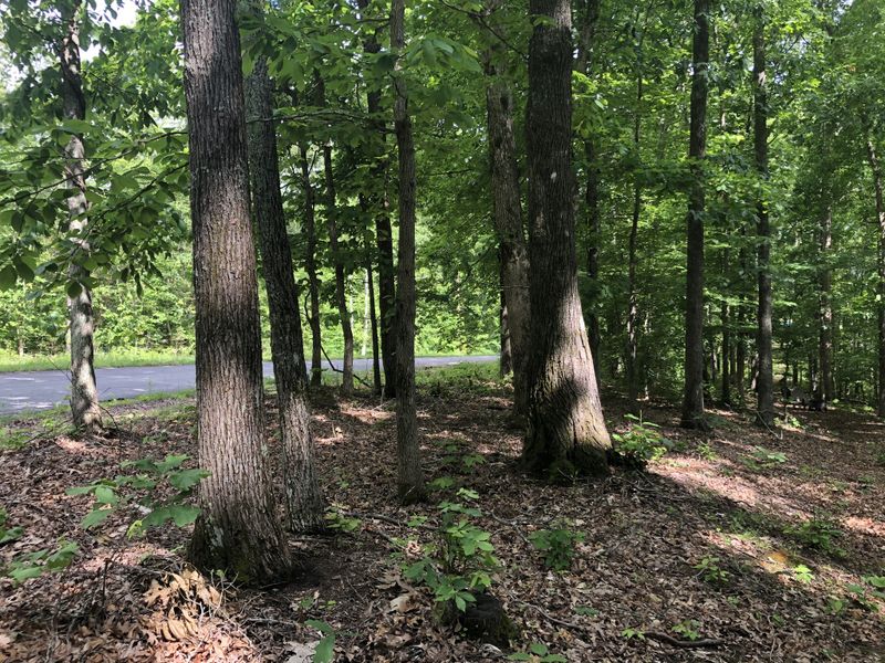 0 Powell Sullivan Rd, Franklin, TN 37064