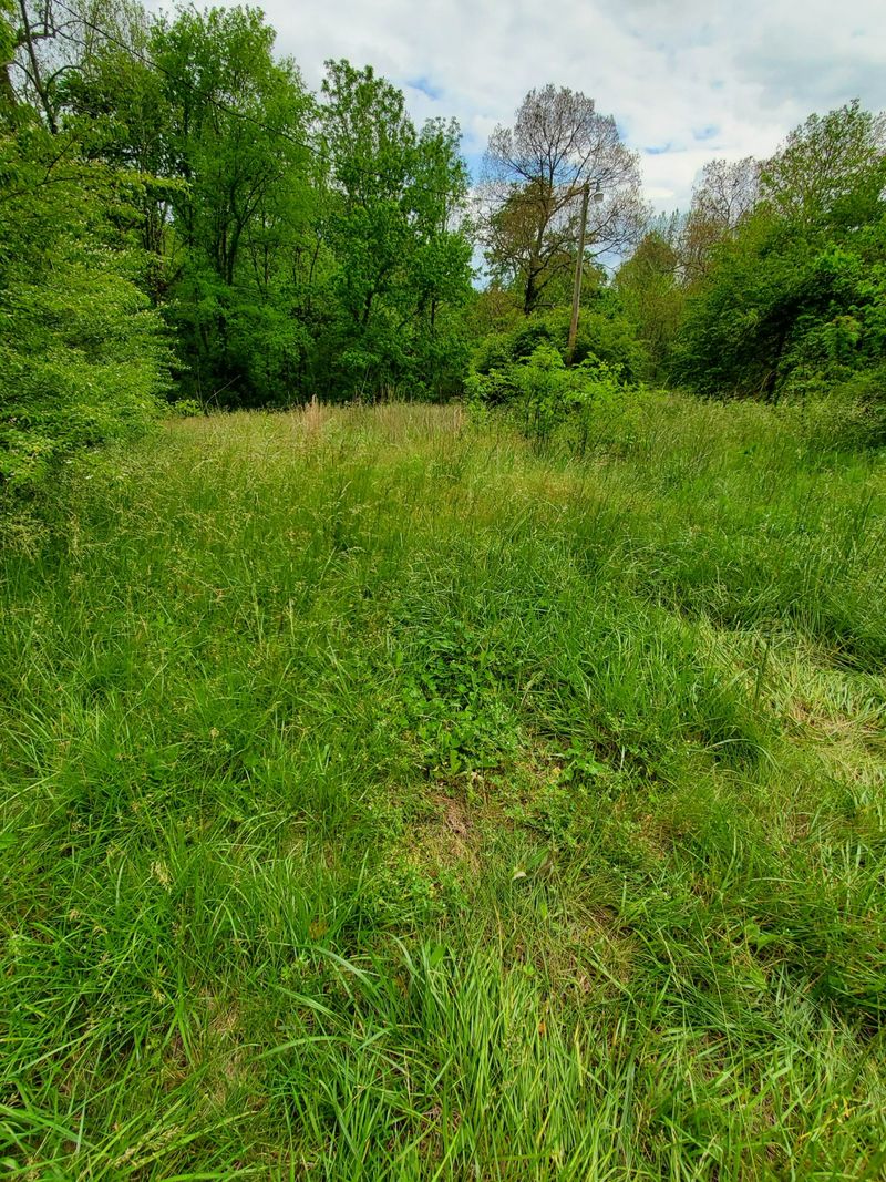 946 Colliers Bend Rd, Charlotte, TN 37036