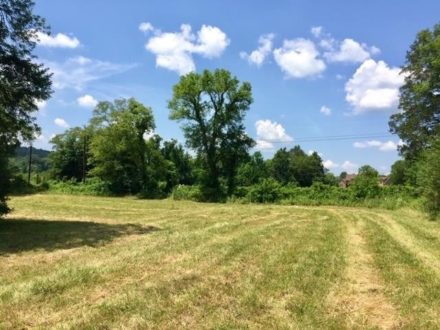 0 Hogwood Rd, Milton, TN 37118