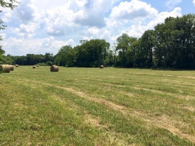 0 Hogwood Rd, Milton, TN 37118