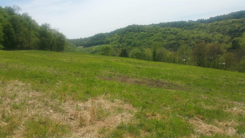 0 Maggart Rd, Chestnut Mound, TN 38552