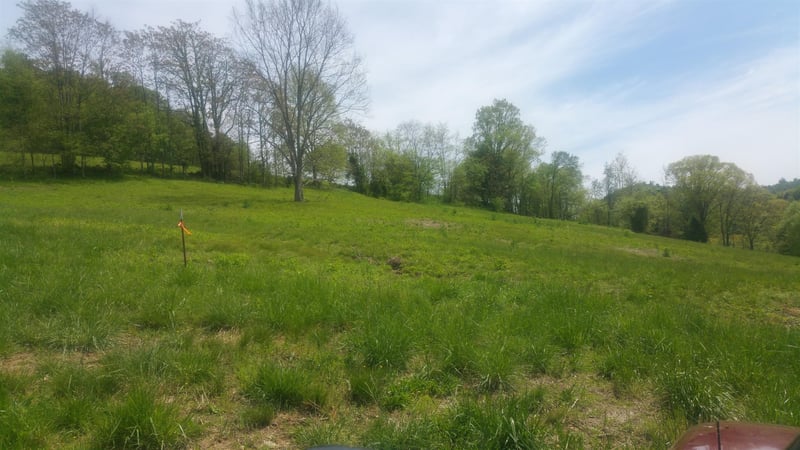 0 Maggart Rd, Chestnut Mound, TN 38552