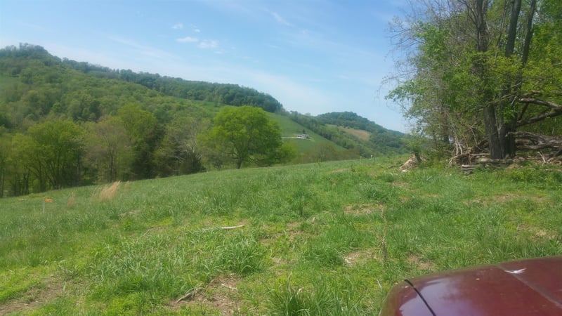 0 Maggart Rd, Chestnut Mound, TN 38552
