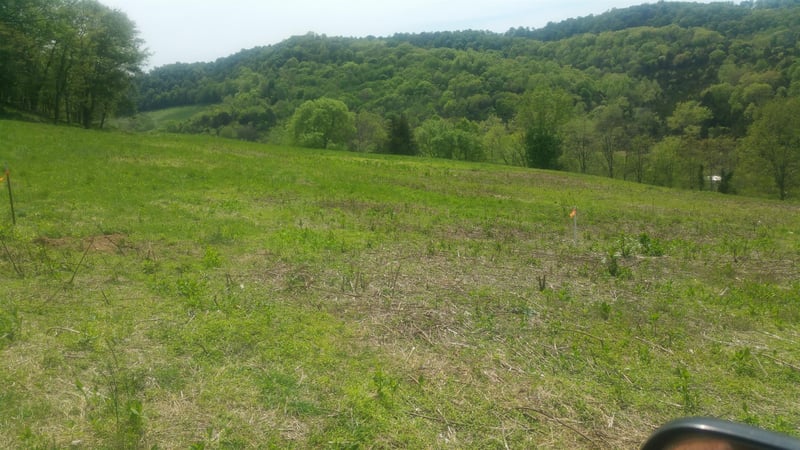 0 Maggart Rd, Chestnut Mound, TN 38552