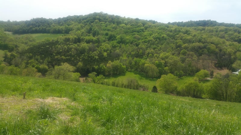 0 Maggart Rd, Chestnut Mound, TN 38552